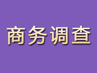 桂平商务调查